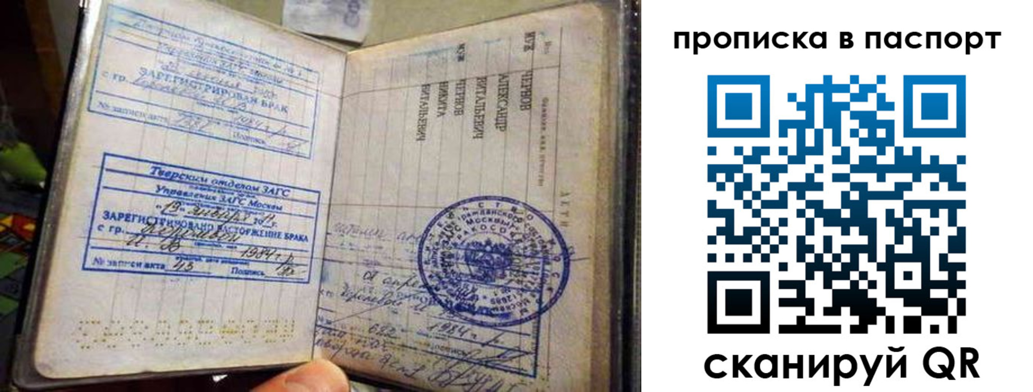прописка поиск в Нелидово